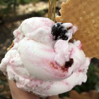 Sour cherry variegato on cream  at Gelato Di Natura in Venice