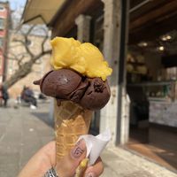   at Gelato Di Natura in Venice