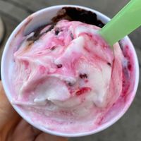 Vegan ice cream   at Gelato Di Natura in Venice