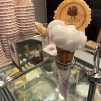 Lime Sorbet with Plain Cone !   at Gelato Di Natura in Venice