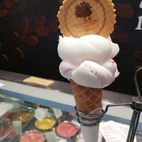  at Gelato Di Natura in Venice