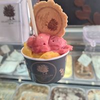  at Gelato Di Natura in Venice