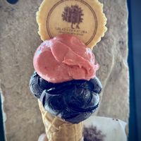  at Gelato Di Natura in Venice