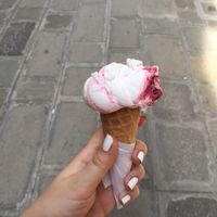 vegan ice cream  at Gelato Di Natura in Venice