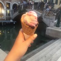 dark chocolate + vegan ice cream  at Gelato Di Natura in Venice