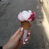 vegan ice cream  at Gelato Di Natura in Venice