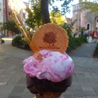Vegan ice-cream at Gelato Di Natura in Venice