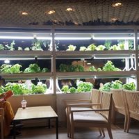 Another part of the cafe  at Brook's Green Cafe in Tokyo