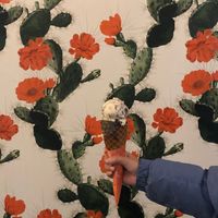 Small cone  at Frankie & Jo's - Ballard in Seattle