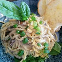 creamy garlic and herb pasta at VegOut on Charles in Launceston