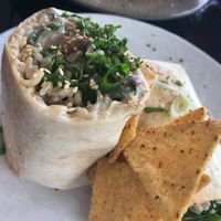 Creamy Mushroom Burrito  at VegOut on Charles in Launceston