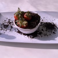 Food was delicious, too big of the portions for me but I saved it for dinner 🤤🤤🤤🤤 #Veganuary at The Modern Vegan in Las Vegas