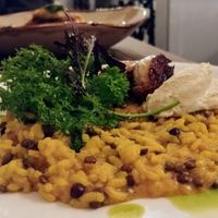 Saffron creamed rice at Billy & Lucy in Fitzroy