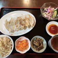 Vegetable gyoza at Ren - Nakagyo Ward in Kyoto