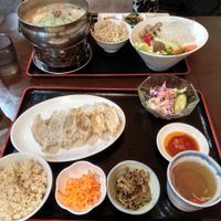Hit pot with soy milk, vegetable gyoza at Ren - Nakagyo Ward in Kyoto