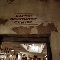 All the decor is "distressed," looks PURPOSEFULLY old and worn, like you're on a real safari at Walt Disney World - Tusker House Restaurant in Lake Buena Vista