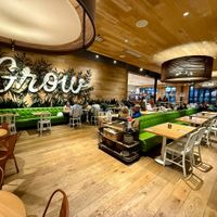 Seating Area at True Food Kitchen in Boca Raton