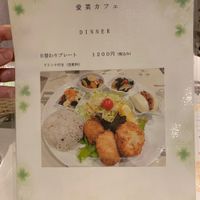 Dinner menu at Aina Cafe in Osaka