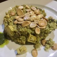 Dish with rice, mushrooms and almonds at Canadu in Malaga