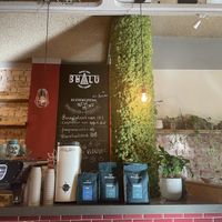   at Bhalu in Nijmegen