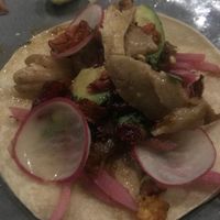 Mushroom Tacos at The Flying Squirrel Bar in Chattanooga