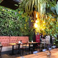 Living plant wall at Orzo People Music Nature in Krakow