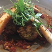 Falafels (starter) at The Oat Sheaf in Fleet