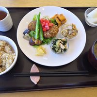 Daily lunch menu at Restaurant Bios in Tokushima