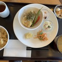 Daily lunch plate  at Restaurant Bios in Tokushima