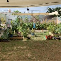 Garden with herbs at Huitzilli Saludable in Merida