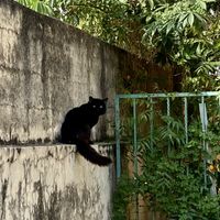   at Huitzilli Saludable in Merida