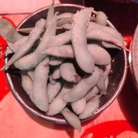 Edamame at Bar Wa Izakaya in Hobart