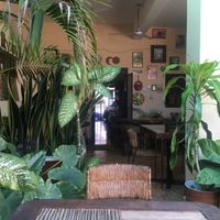 its an open, fresh, green environment at Comiendo Sano Mi Tienda de la Salud in Mazatlan