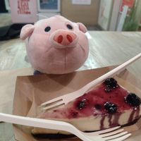 Cheesecake at Edgy Veggy in Sofia