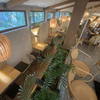 Lots of space   at Edgy Veggy in Sofia