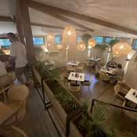   at Edgy Veggy in Sofia