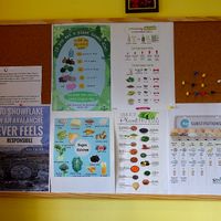 Inside at Edgy Veggy in Sofia