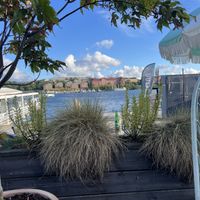   at Trattorian in Stockholm