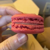 Strawberry-Rose Macaron   at L'Artisane Creative Bakery in Coral Gables