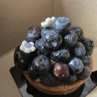 Blueberry tart  at L'Artisane Creative Bakery in Coral Gables