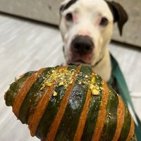 Pistachio apricot croissant   at L'Artisane Creative Bakery in Coral Gables