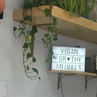 Spirit at L'Artisane Creative Bakery in Coral Gables