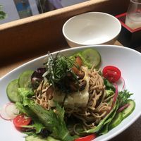 Soba noodle salad with agedashi tofu  at O'Uchi in Sydney