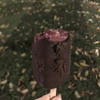 Homemade (dark thick chocolate and fruit ice cream inside )  at Gelateria La Romana in Padua