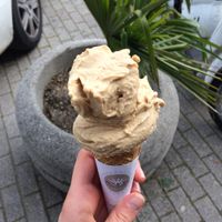 Licorice, mint and pink salt vegan ice cream  at Gelateria La Romana in Padua