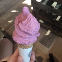 Blubeery, elderberry and lemon at Gelateria La Romana in Padua