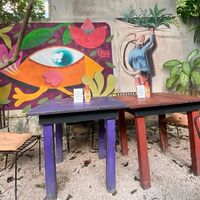 Cool atmosphere at El Apapacho in Merida