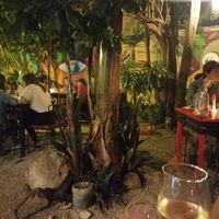  at El Apapacho in Merida