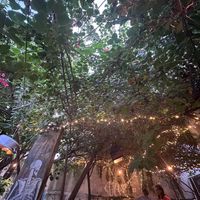   at El Apapacho in Merida