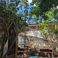  at El Apapacho in Merida